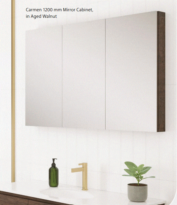 Fienza on sale mirror cabinet