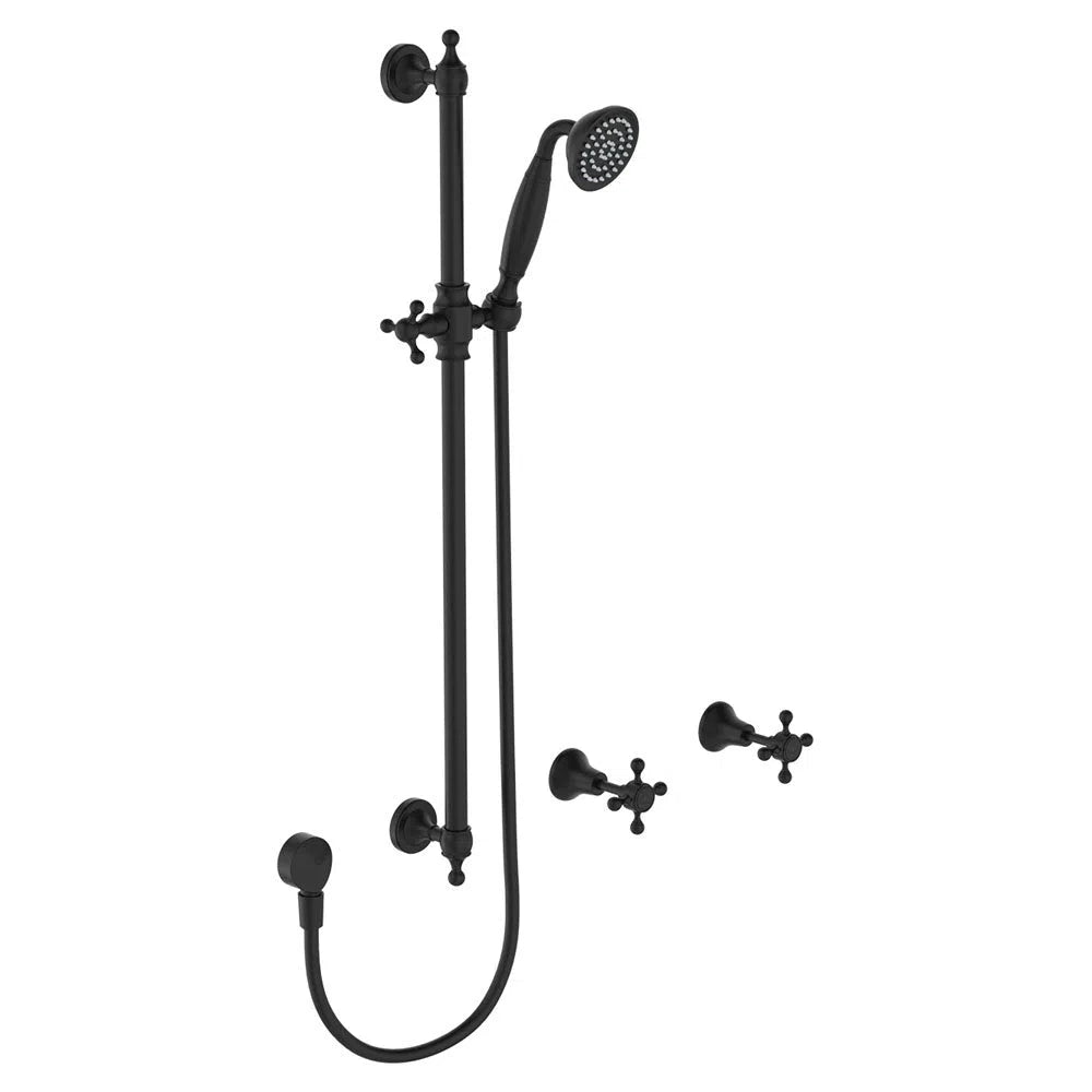 Fienza LILLIAN Rail Shower Set